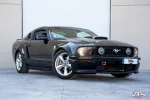 MUSTANG - 4.6 V8 GTCS
