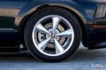 MUSTANG - 4.6 V8 GTCS