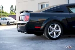 MUSTANG - 4.6 V8 GTCS